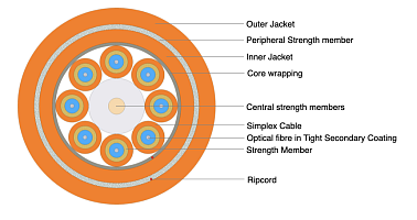Universal Breakout Cable - Double Jacket 8F
